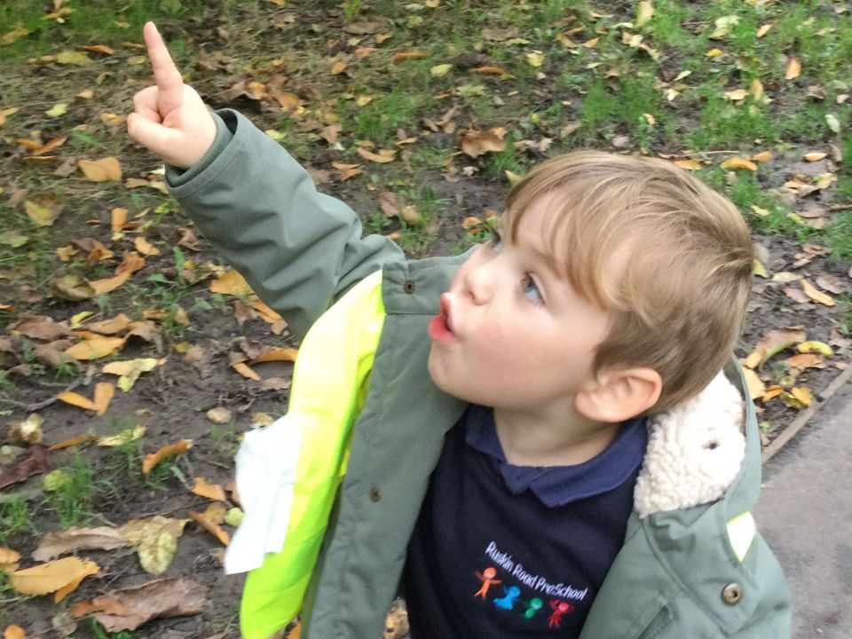 boy-pointing