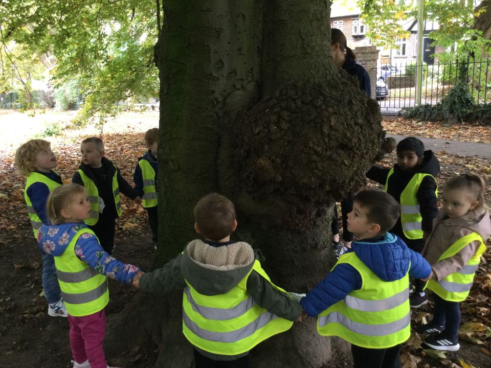 encircling-a-tree