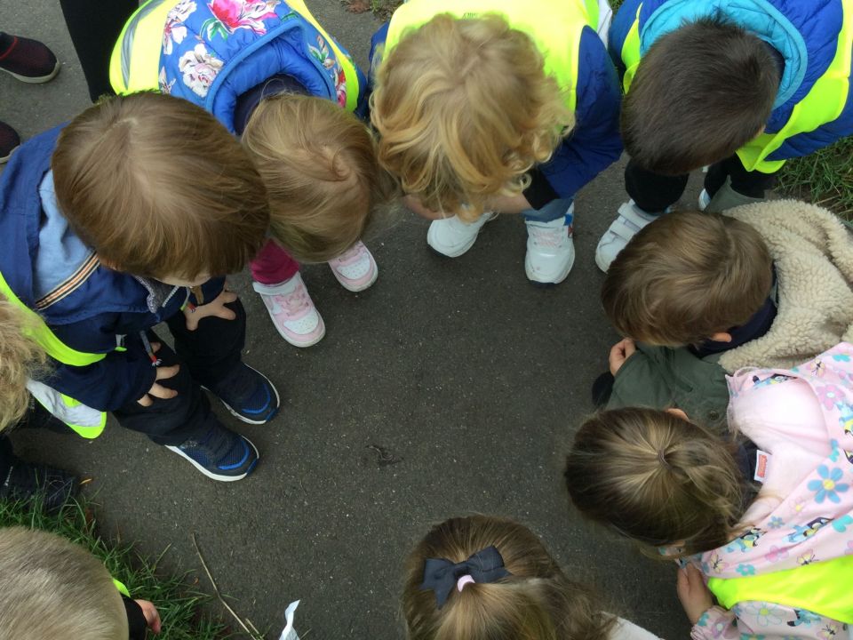 group-looking-down